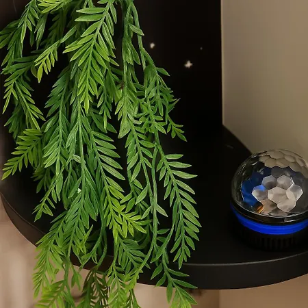 Lejlighed Nuit Dans Les Etoiles - Balneo & Sauna Prive Troyes