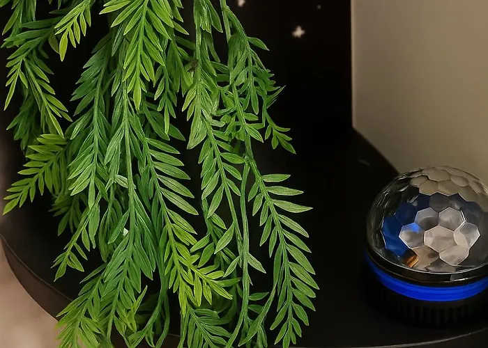 Apartment Nuit Dans Les Etoiles - Balneo & Sauna Prive Troyes